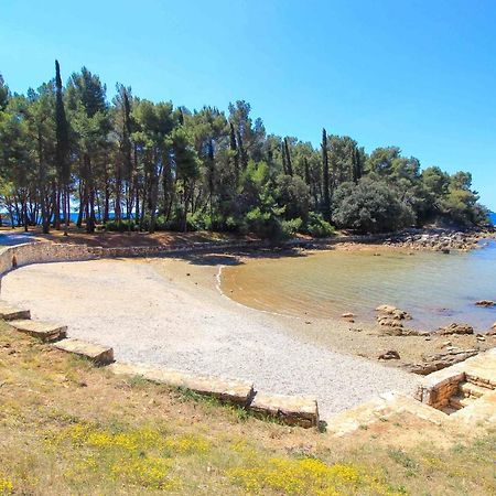 Vila Una With Private Pool Near Rovinj - Open 2022 Rovinjsko Selo Dış mekan fotoğraf
