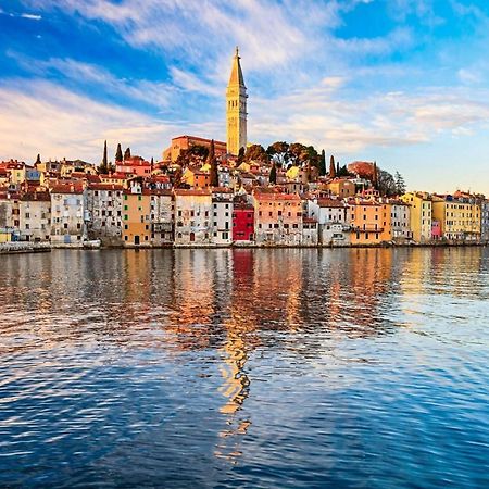 Vila Una With Private Pool Near Rovinj - Open 2022 Rovinjsko Selo Dış mekan fotoğraf