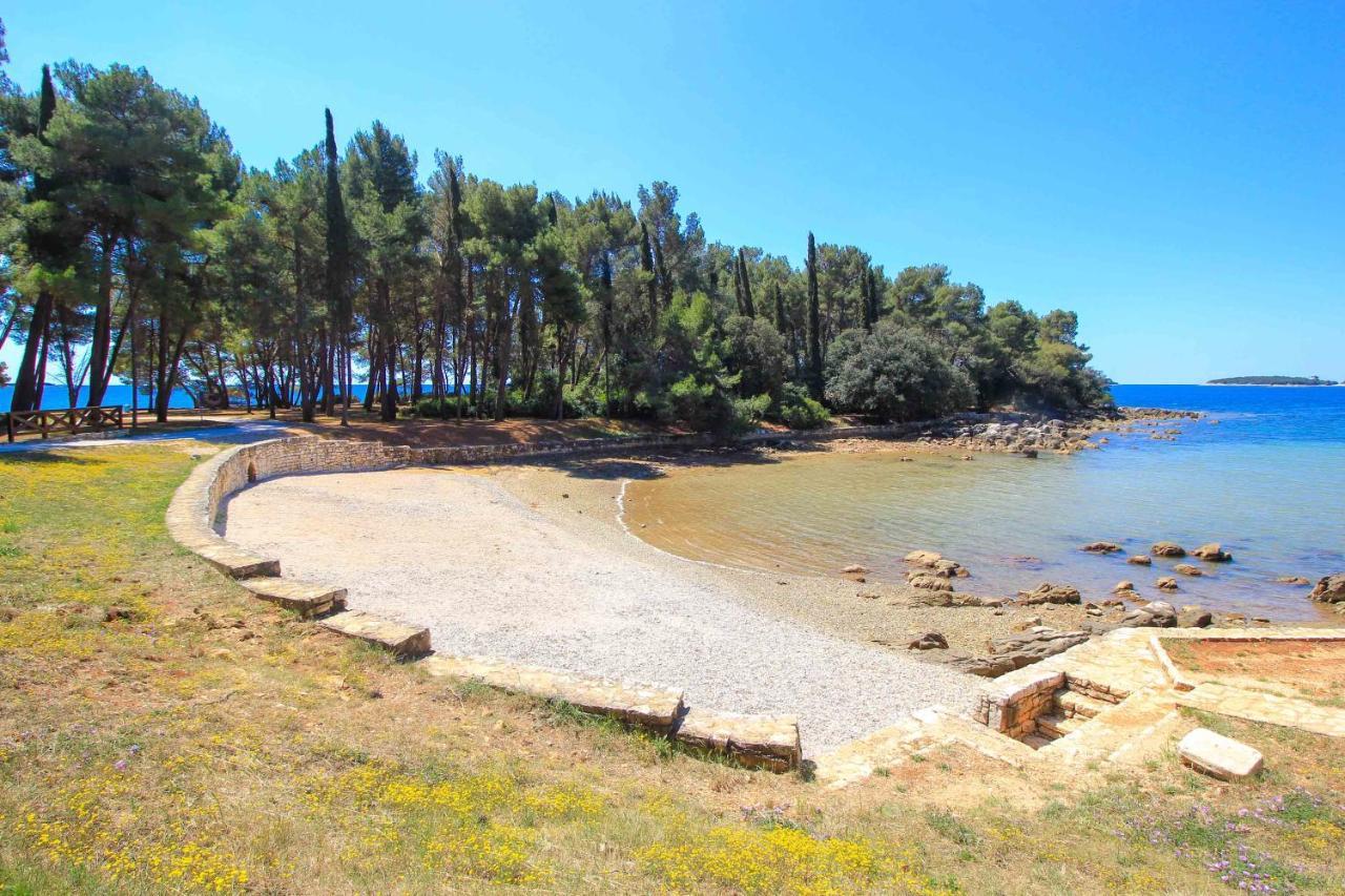 Vila Una With Private Pool Near Rovinj - Open 2022 Rovinjsko Selo Dış mekan fotoğraf