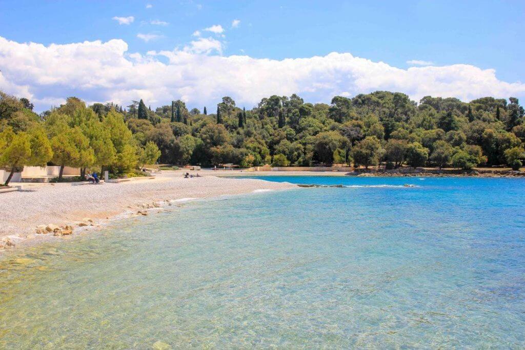 Vila Una With Private Pool Near Rovinj - Open 2022 Rovinjsko Selo Dış mekan fotoğraf