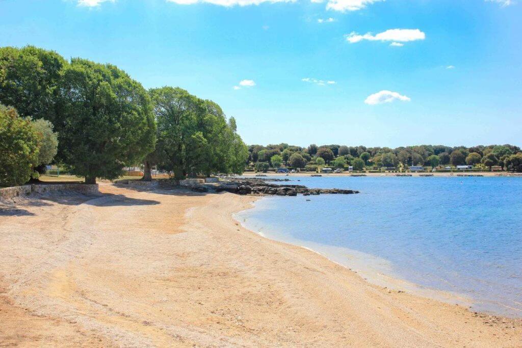 Vila Una With Private Pool Near Rovinj - Open 2022 Rovinjsko Selo Dış mekan fotoğraf